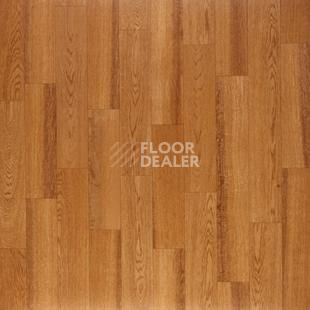 Линолеум Tarkett Discovery California 1 фото 1 | FLOORDEALER